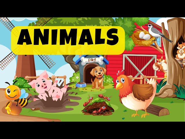 Animals Home | Count with Wild Animals | Animals Name & Sounds | Kids  Educational Video