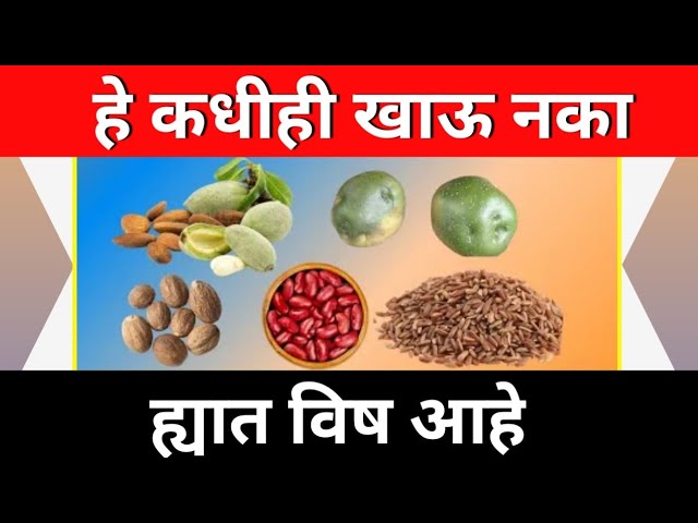 5 Poisonous Food That Can Kill You | Fitlife Marathi #healthyfood