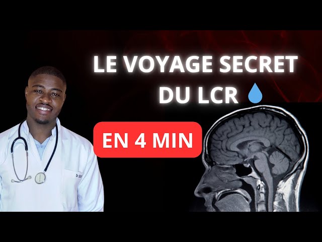 LCR : Le Voyage SECRET de Ton Cerveau Révélé! 🧠 (De la Prod' à la Résorption)