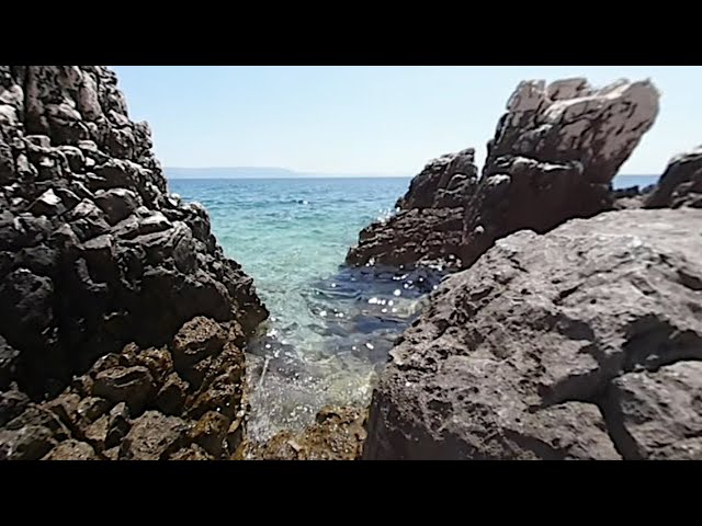 seaside 360 VR - find a crab