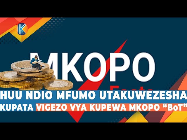 FAHAMU ! HUU NDIO MFUMO UTAKUWEZESHA KUPATA VIGEZO VYA KUPEWA MKOPO "PESA" BoT”