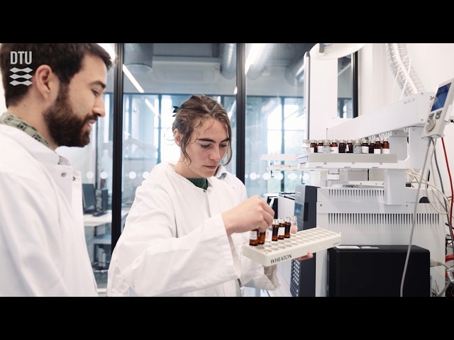 Obtén una maestría en Ingeniería Ambiental en la DTU