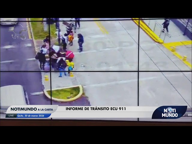 NOTIMUNDO ON DEMAND | Early elections: legal or illegal?