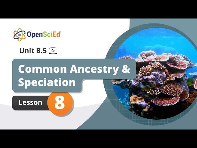 Unit B.5 Lesson 8 Planning Video | OpenSciEd On-Demand Resources