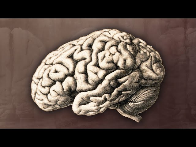 A TikToker Chugged 1 Liter Of Lean. This Is What Happened To His Brain. ft @JustinWhangYt