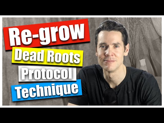 Regenerative Endodontics - Revascularization, Protocol and Technique, Dr William Nudera, Endo: 004