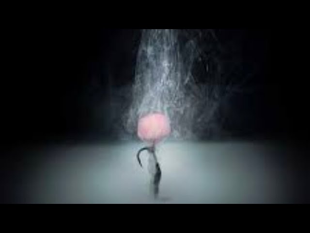 MAINLINE SMART LIQUID VS KORDA GOO
