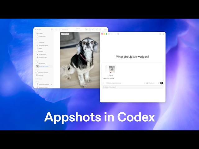 Introducing Appshots in Codex