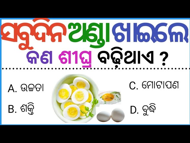 Top 20 gk|gk in odia|general knowledge for 2023