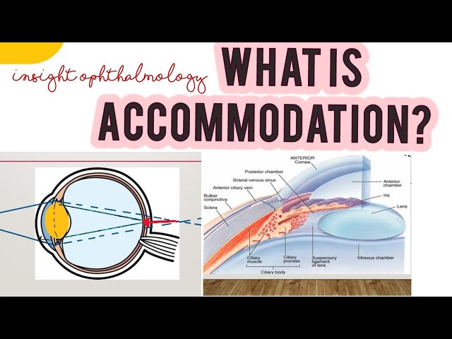 ACCOMMODATION POWER OF EYE || PHYSIOLOGY