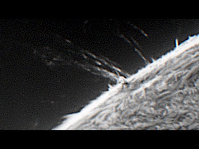 Coronal Rain on the SUN — Filmed Through My Solar Telescope!