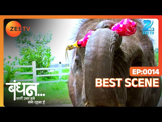 Bandhan Saari Umar Humein Sang Rehna Hai - Hindi TV Serial - Best Scene - 14 - Zee TV