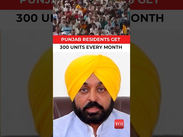 In this heat, ZERO Electricity Bill in Punjab? Here is how...