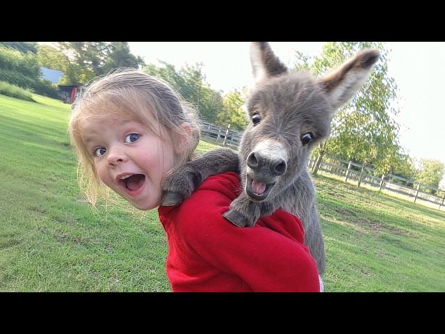 When the Animal Distribution System Chooses Your Baby as Their Best Friend 😂