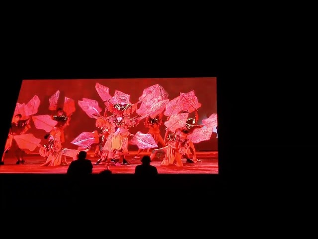 "Phoenix Dance"