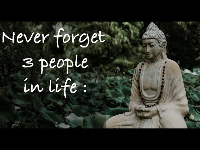 Buddha Quotes WhatsApp Status | RVH Media