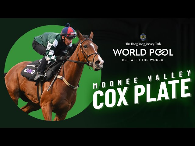 Hold All Tickets World Pool Preview - Cox Plate Day