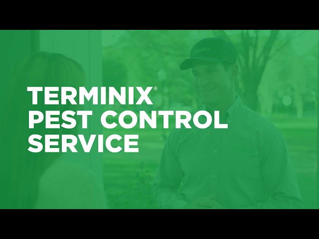 How Does Terminix Pest Control Work?