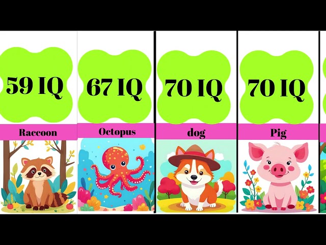 Animal Intelligence RANKED  TOP 20 Smartest Animals by Estimated IQ