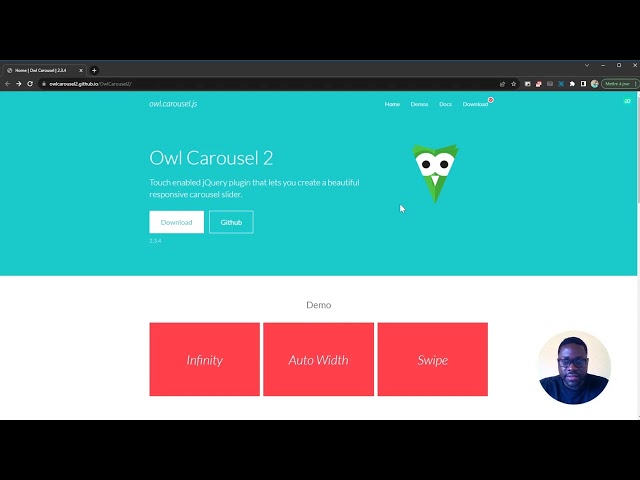 Owl Carousel 2