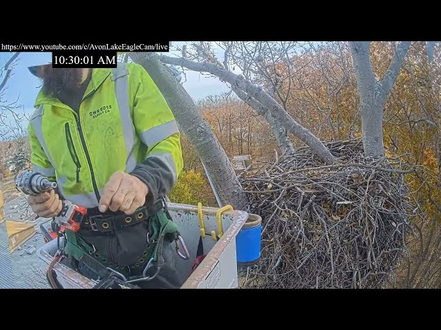 November 20th, 2023 Maintenance around Eagle Cameras
