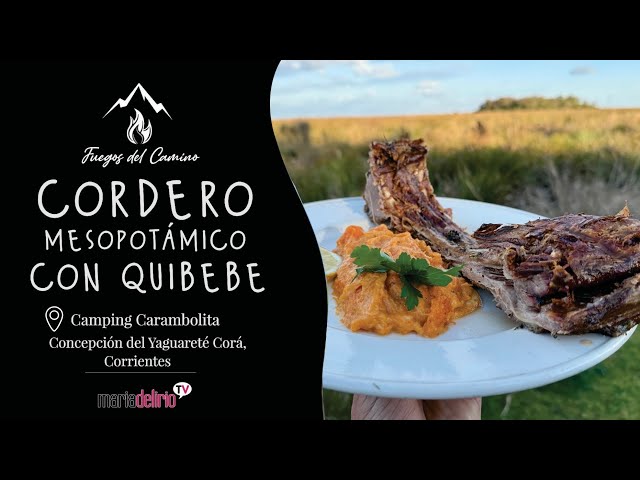 CORDERO MESOPOTAMICO EN CAMPING CARAMBOLITA, ESTEROS DEL IBERÁ.