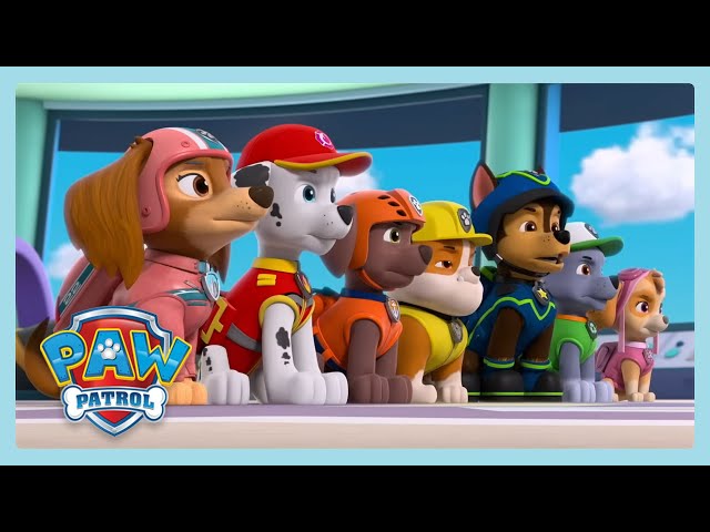 listo para rescatar | Paw Patrol mejores momentos | Wildbrain Niños
