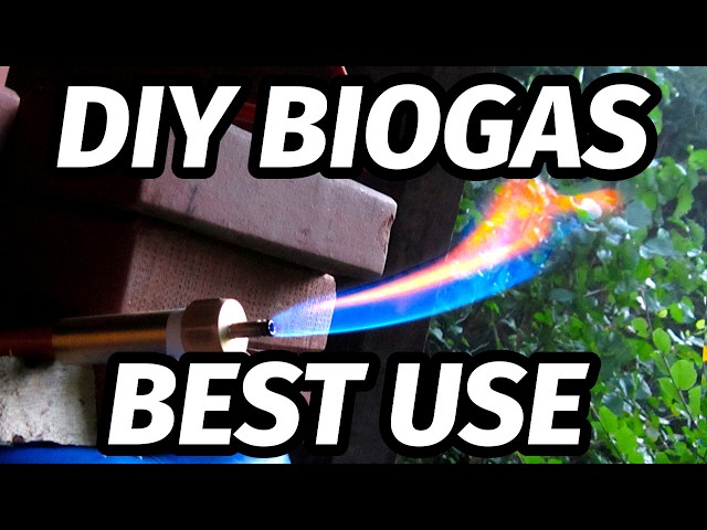 Most cheap energy with self made biogas [ DIY Stirling micro CHP ]