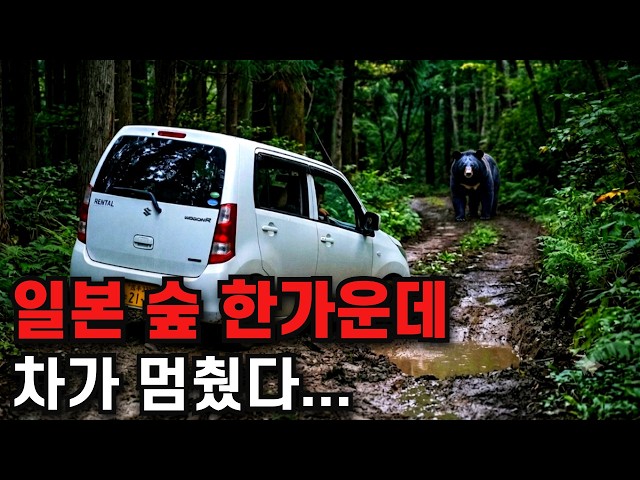 Stuck in the Middle of a Bear-Infested Japanese Forest...