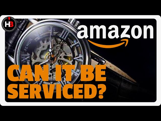 I received the cheapest Amazon Mechanical Watch! Can the Sewor run better after a Watch Service?