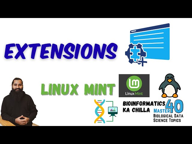 Linux Mint Extensions for Desktop Beautification and Professional Look