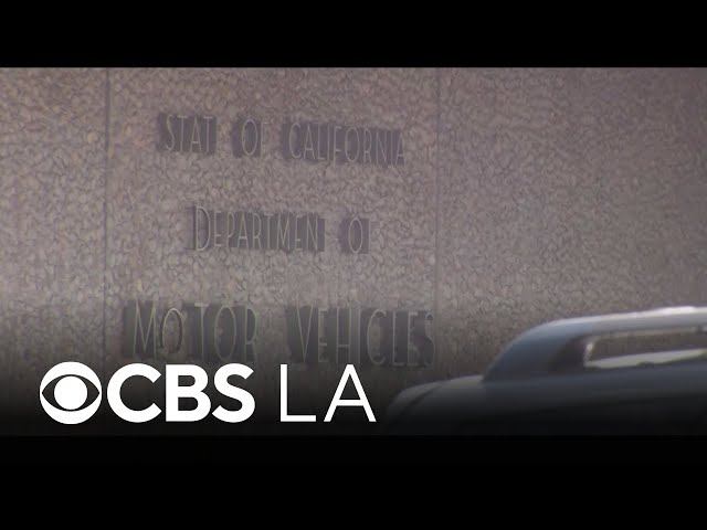 DMV expands digital license program to millions of Californians