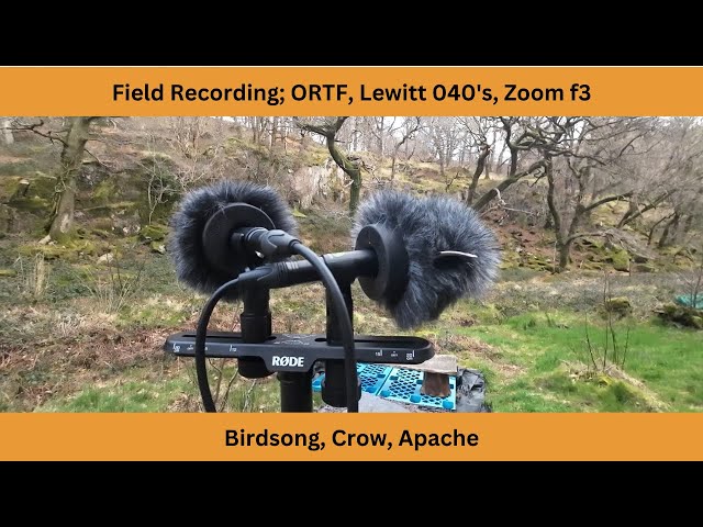 Field Recording Test: ORTF with stereo pair of Lewitt 040's and Zoom f3 recorder.