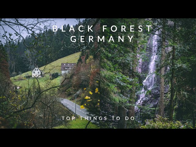 10 Awesome things to do in the Black Forest in Germany 🇩🇪