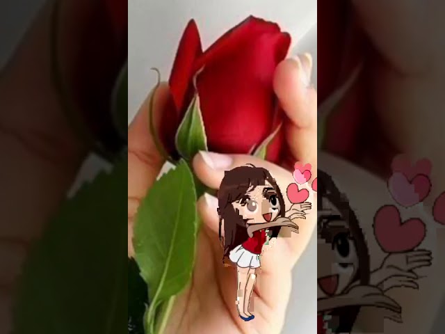 ياصباح الخير ياللي معانا
