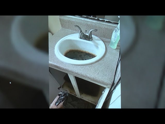City of Albuquerque increases action against apartment complex after code violations
