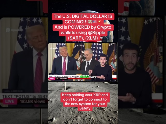 Start switching to the new digital banking system QFS now before you become a victim of bank crash. 