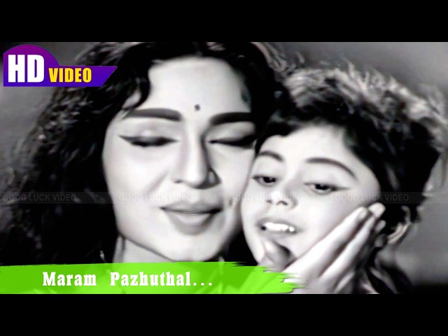 Maram Pazhuthal Song | Jaishankar, Devika | K. V. Mahadevan | Deiveega Uravu