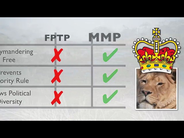 The Voting System That Gives You Two Votes