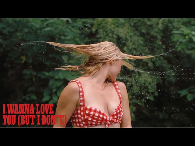Ashe - "I Wanna Love You (But I Don't)" [Official Visualizer]
