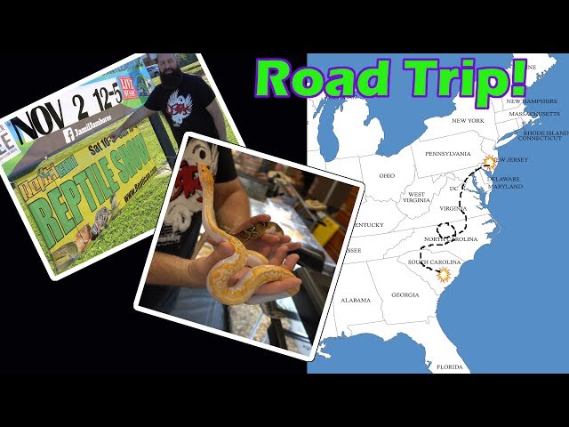 R&B Reptiles Road Trip! Repticon Columbia South Carolina!