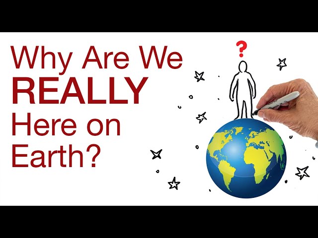 WHY ARE WE REALLY HERE ON EARTH? by Hans Wilhelm