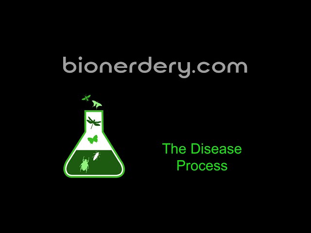 Disease Process