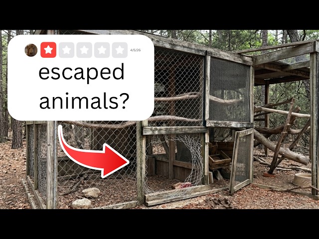 I Visited the Sketchiest Zoo in America
