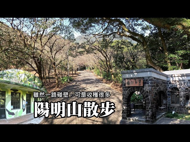 The perfect bus tour! Start your leisurely stroll from the Yangmingshan National Park Visitor Center