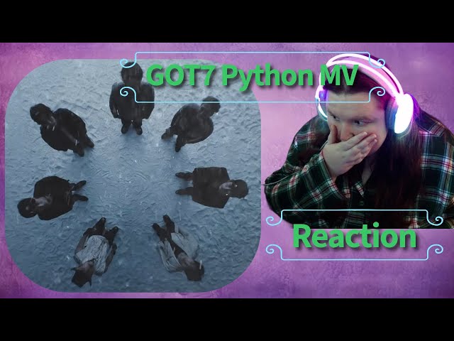 Reaction || GOT7 Python MV