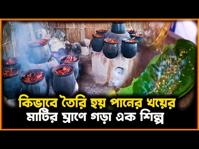 How Catechu Is Made | The Process and History of Catechu | Bangladeshi Catechu Documentary