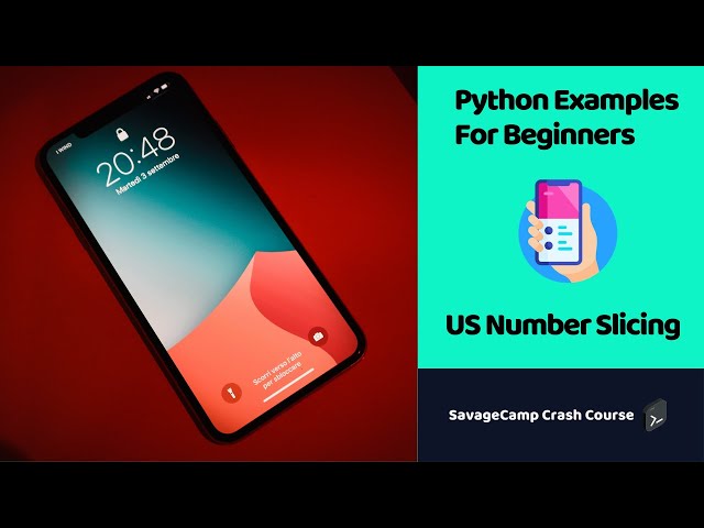 Python Example Code | Format Phone Number | SavageCamp