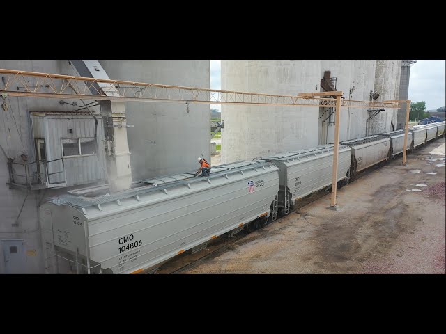 Let's load a grain train in Havelock!