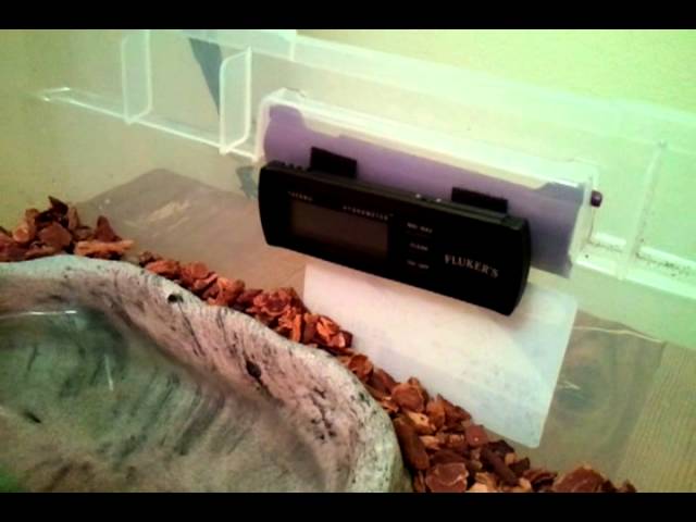 Mojo, my Ball Python's cage/tub setup.
